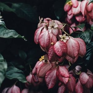 Meet your Posher, Artémis